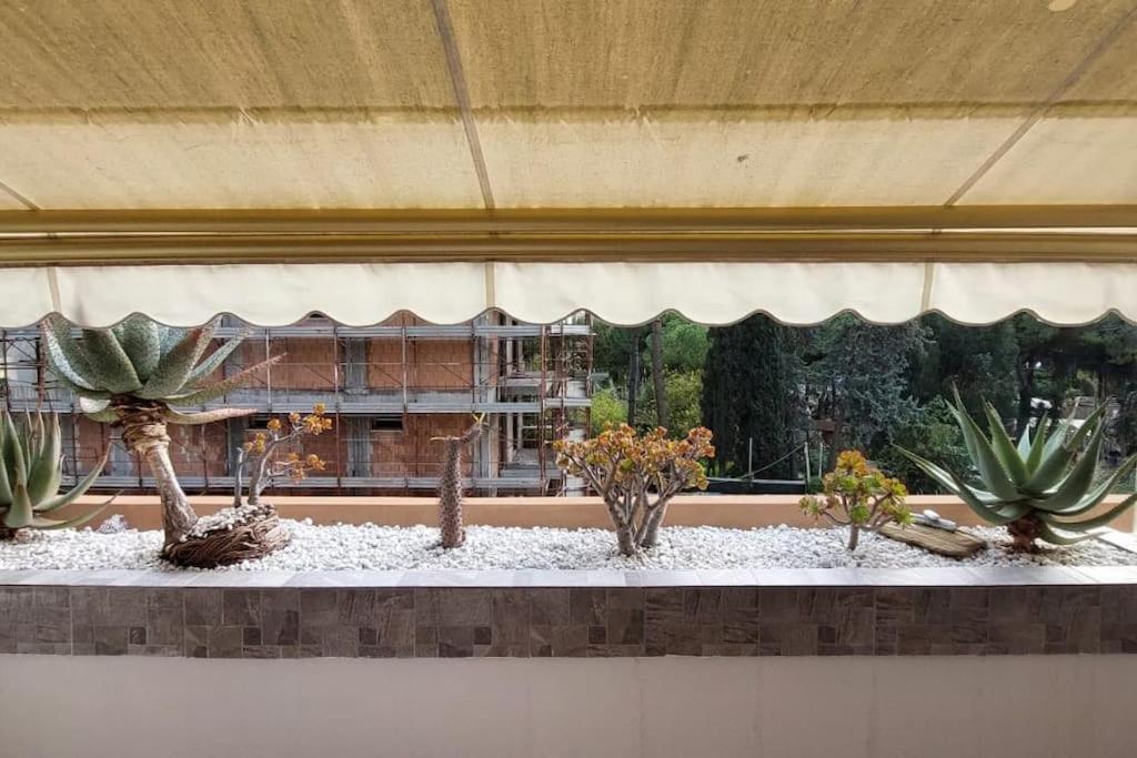 Апартаменты Ampio Monolocale Con Terrazzo - A 2 Passi Dal Mare Latte Экстерьер фото